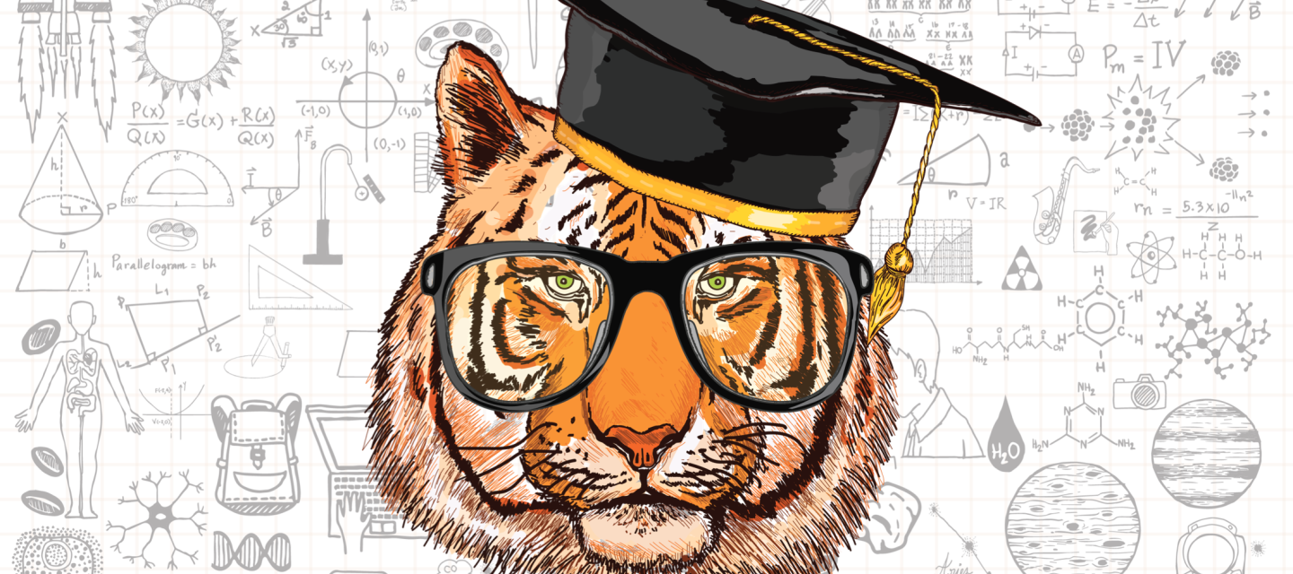 Graphic of Bengal tiger with glasses and commencement regalia